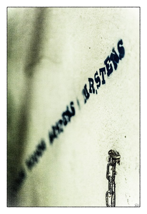 Picture of the day